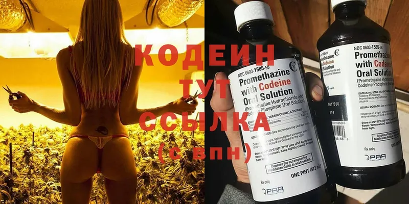 hydra зеркало  Дигора  Кодеиновый сироп Lean Purple Drank  купить  