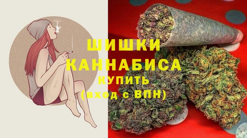 Конопля SATIVA & INDICA  купить  цена  Дигора 